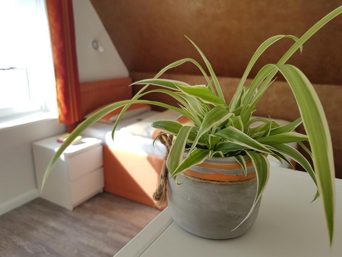 Gaestehaus Arkona Tönning Εξωτερικό φωτογραφία